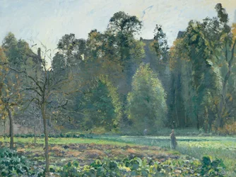 The Cabbage Field, Pontoise